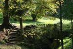 Rock steps and stream.